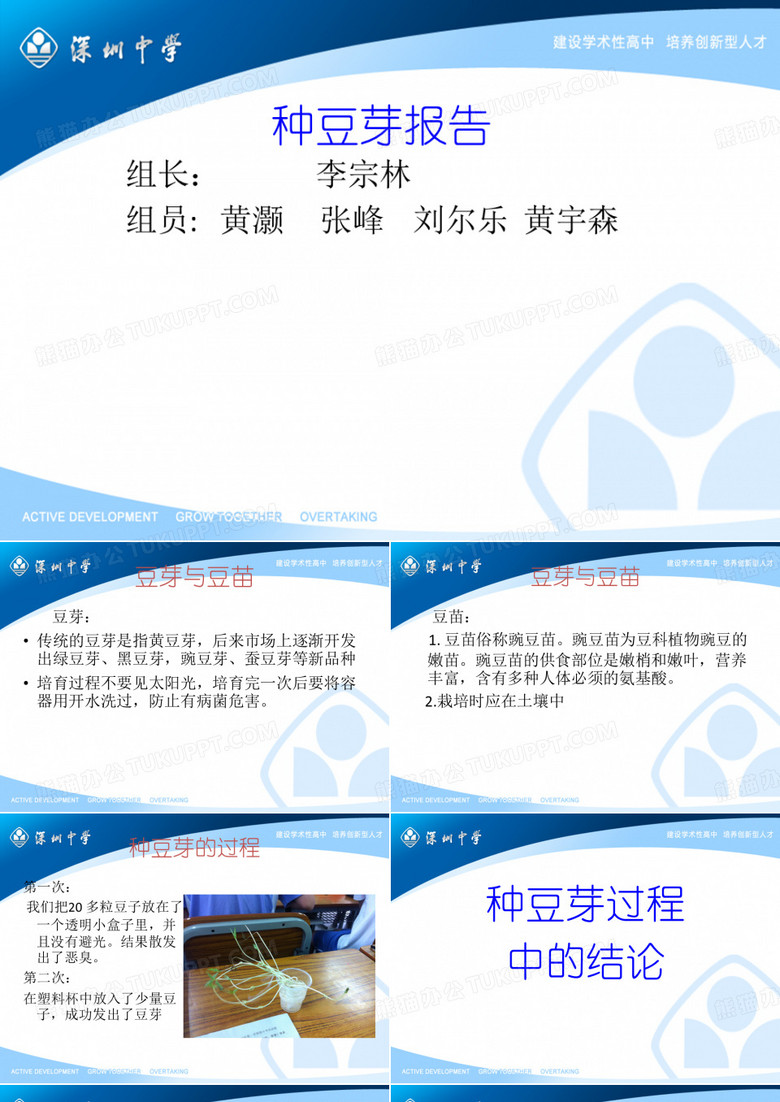 种豆芽报告