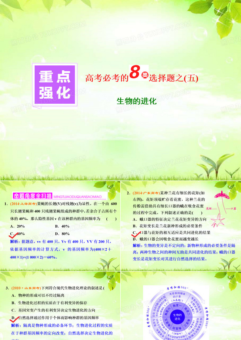 一轮复习 生物的进化(生物的进化)课件