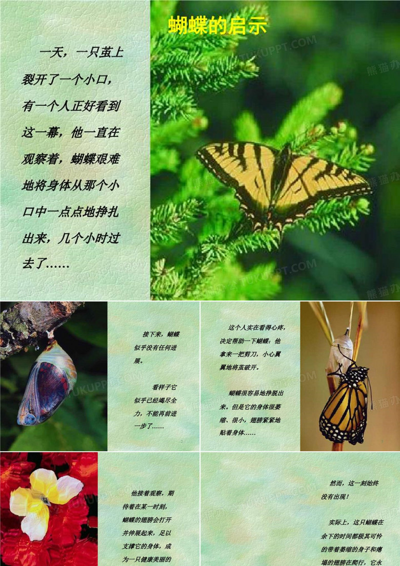 《破茧成蝶》PPT课件