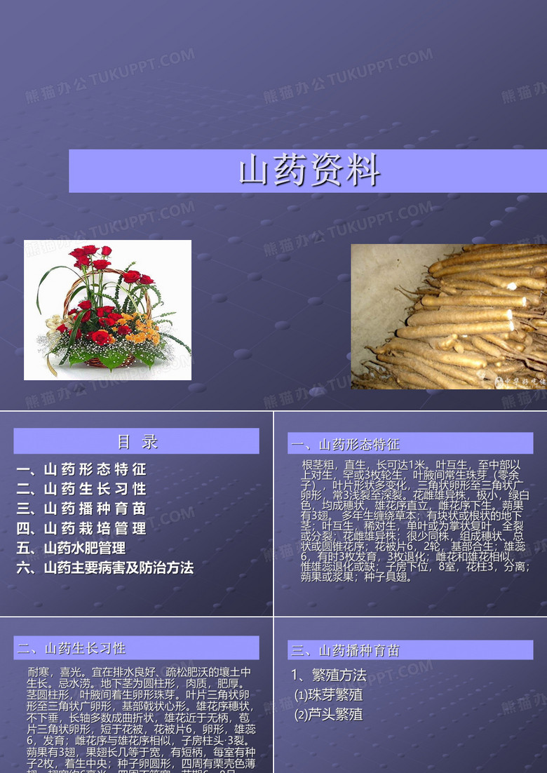 山药123