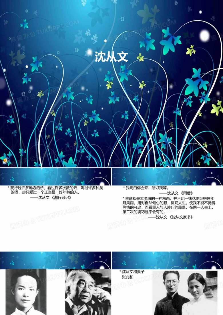 沈从文其人其事