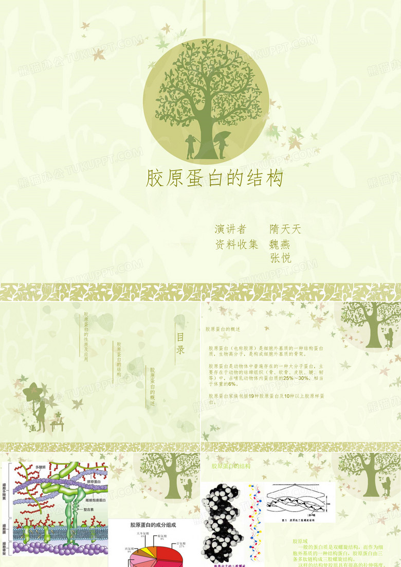 胶原蛋白的结构