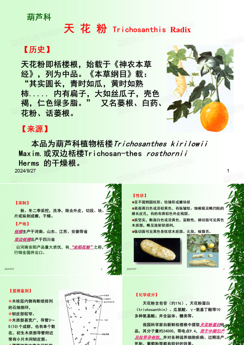 天花粉红花71