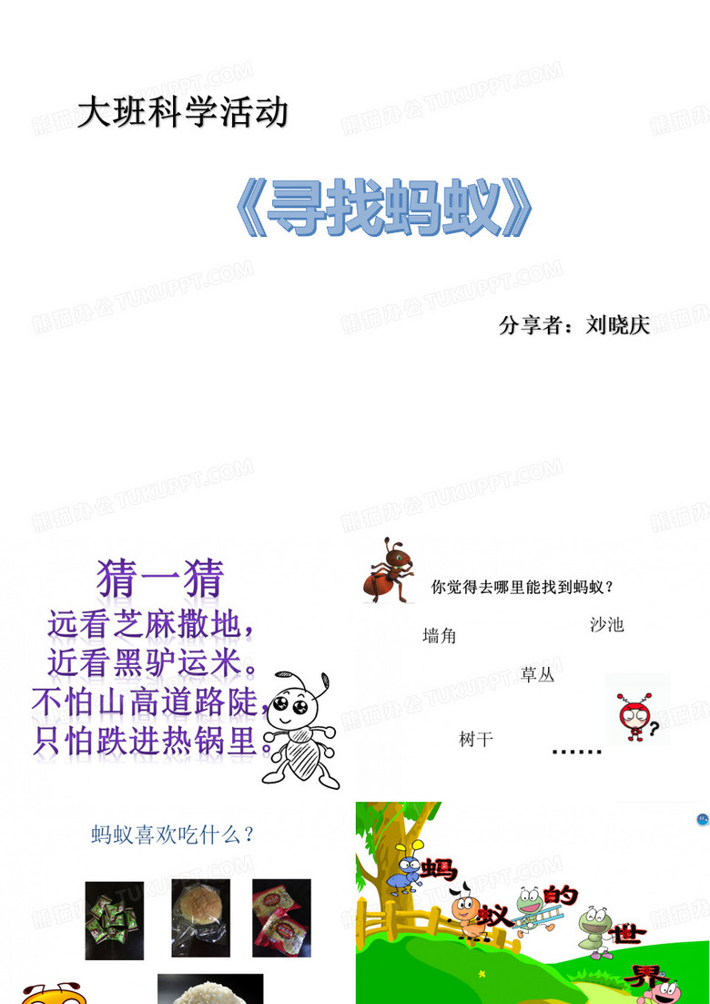 大班科学蚂蚁——刘晓庆
