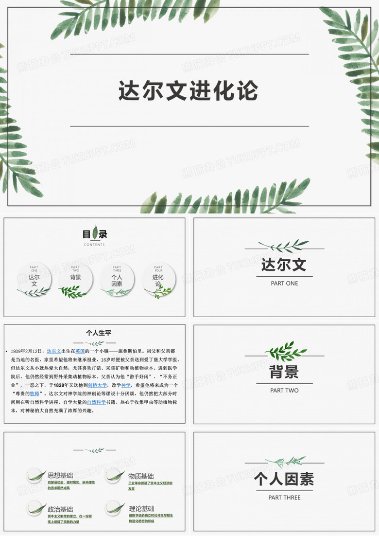 进化论