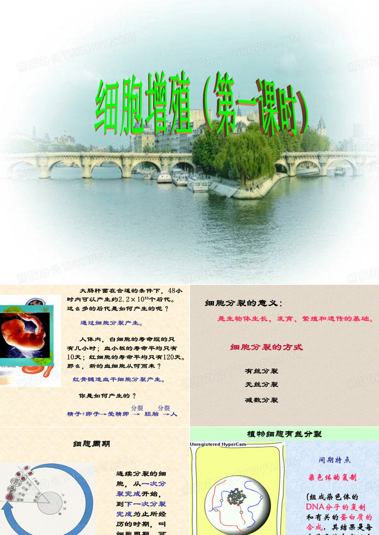 细胞分裂