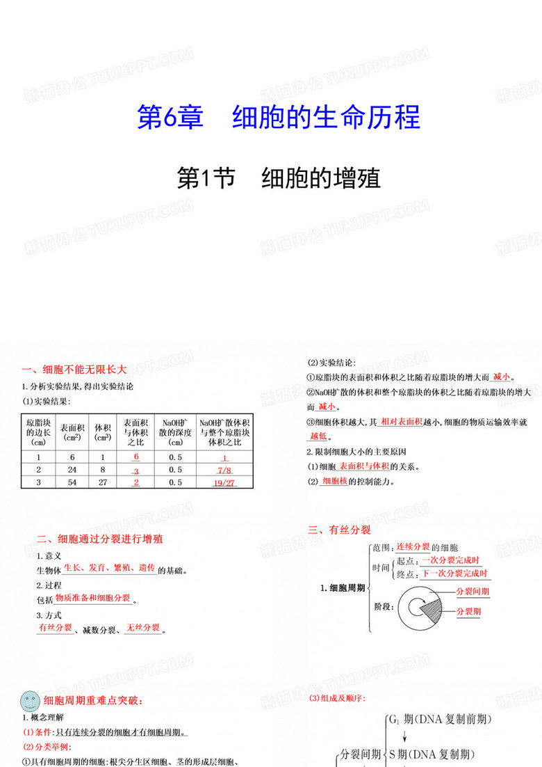 细胞分裂
