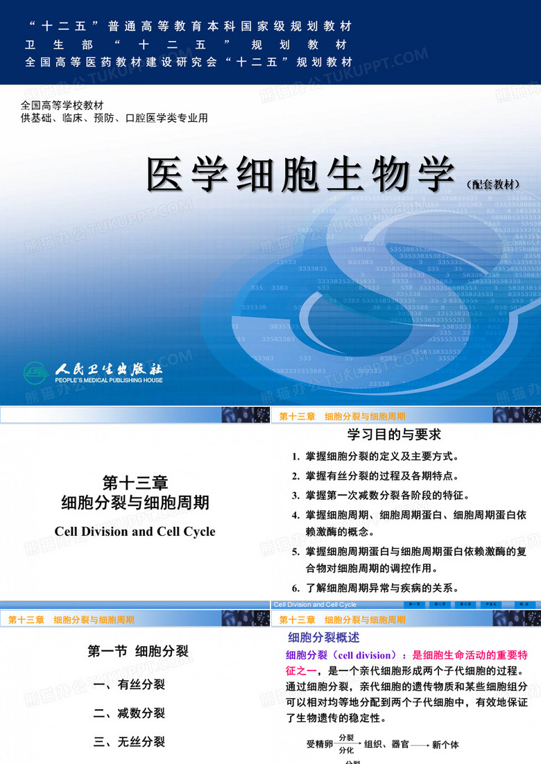 细胞分裂与细胞周期