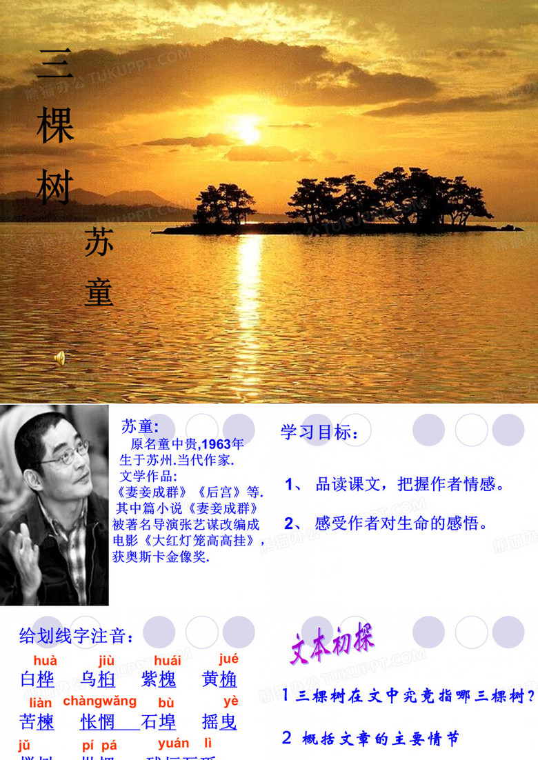 三棵树2
