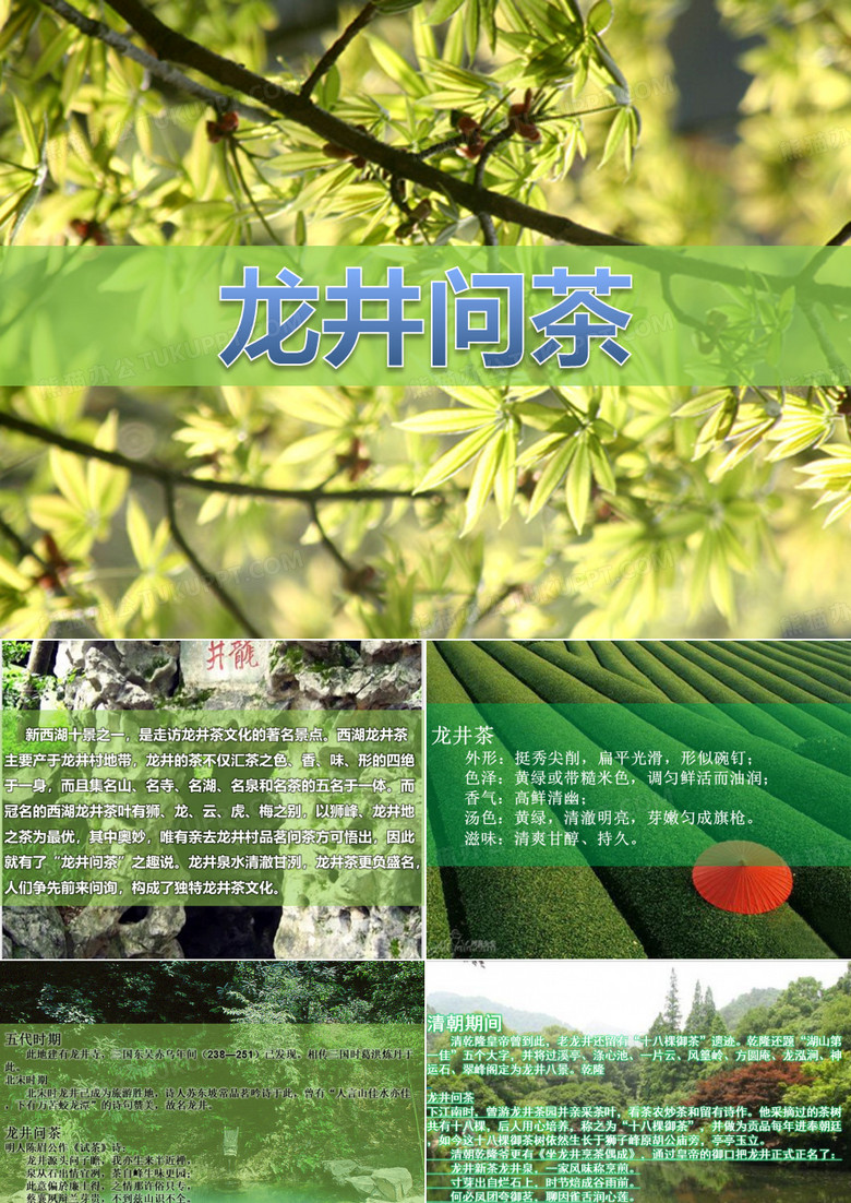 龙井问茶
