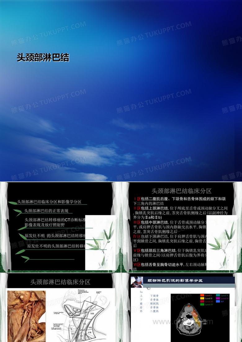 头颈部淋巴结