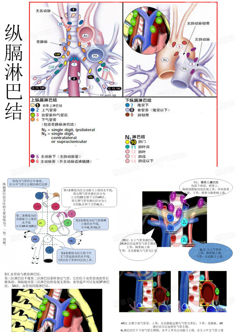 纵膈淋巴结