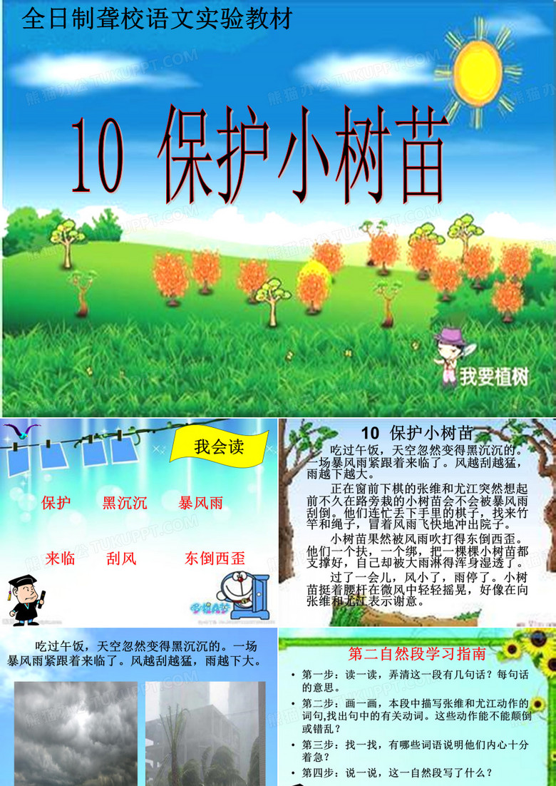 保护小树苗课件