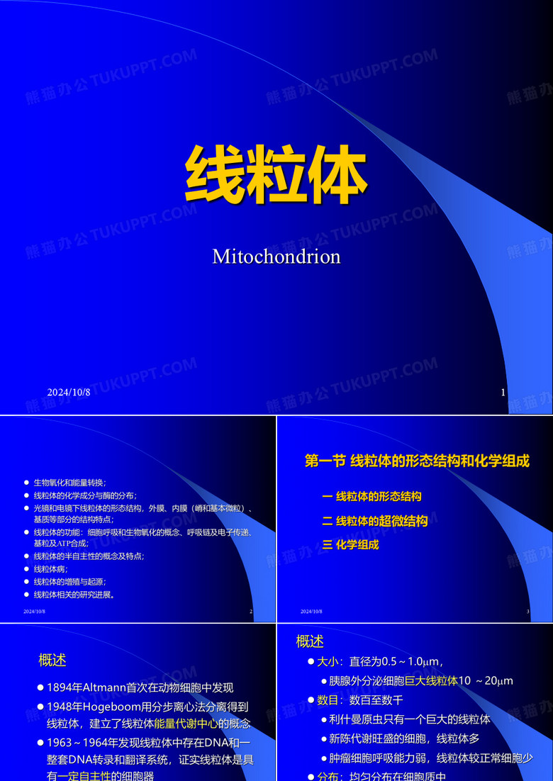 线粒体