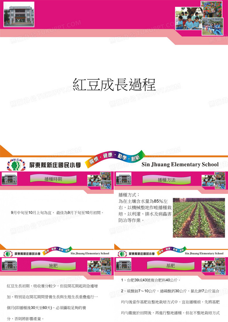 红豆成长与发芽
