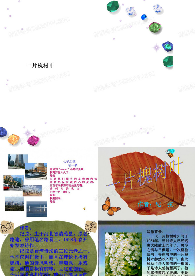 一片槐树叶