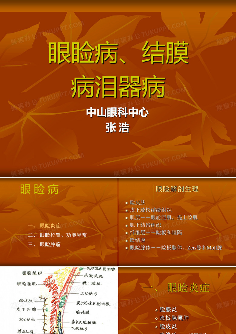 眼睑结膜泪器