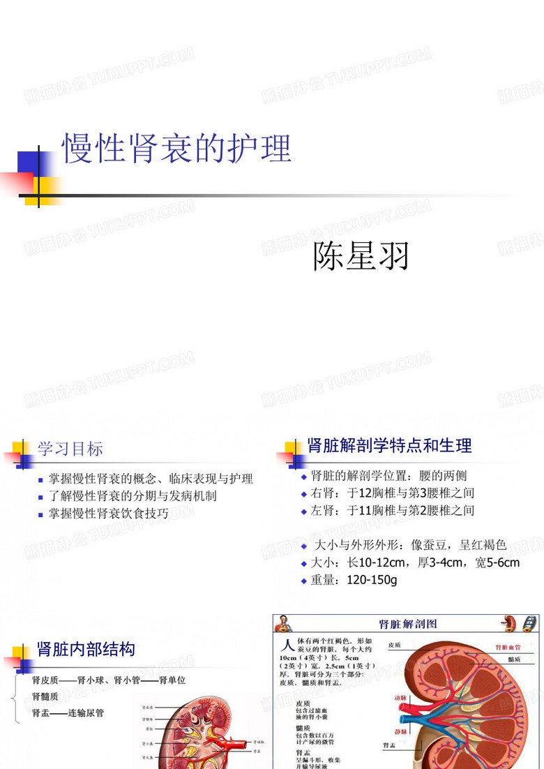 慢性肾衰的护理