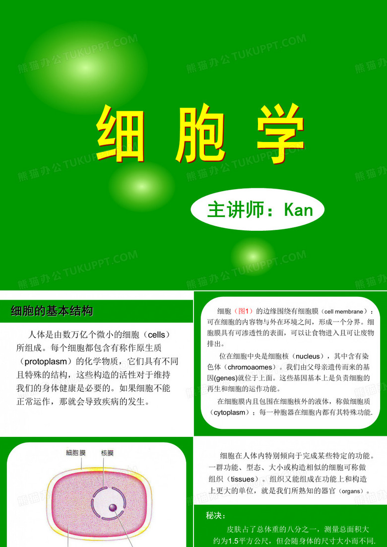 细胞学
