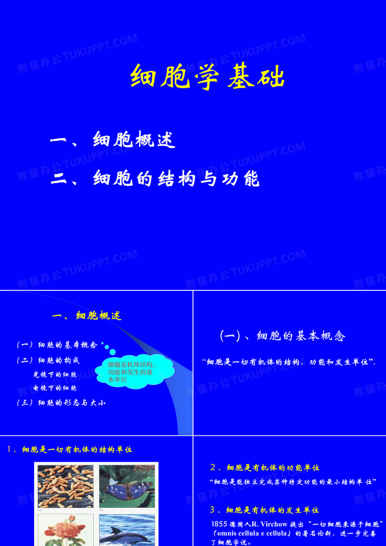细胞学基础