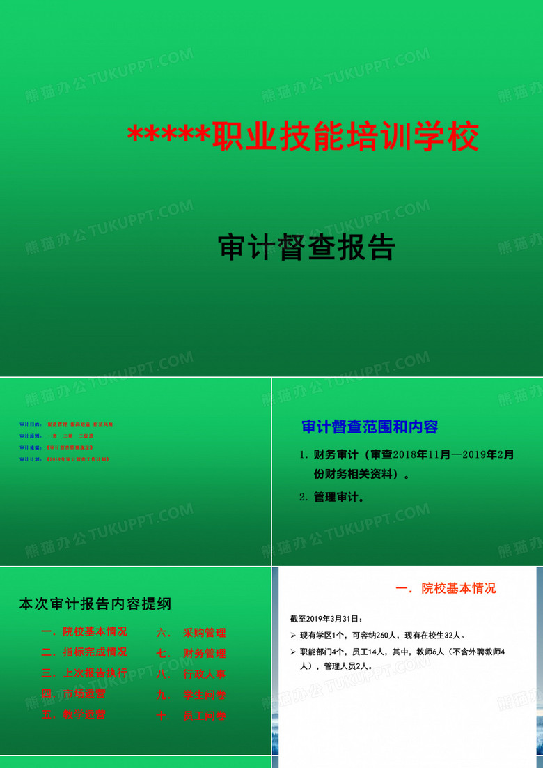 审计督查报告