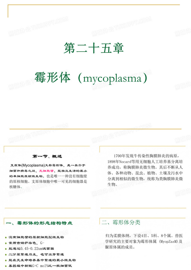 支原体