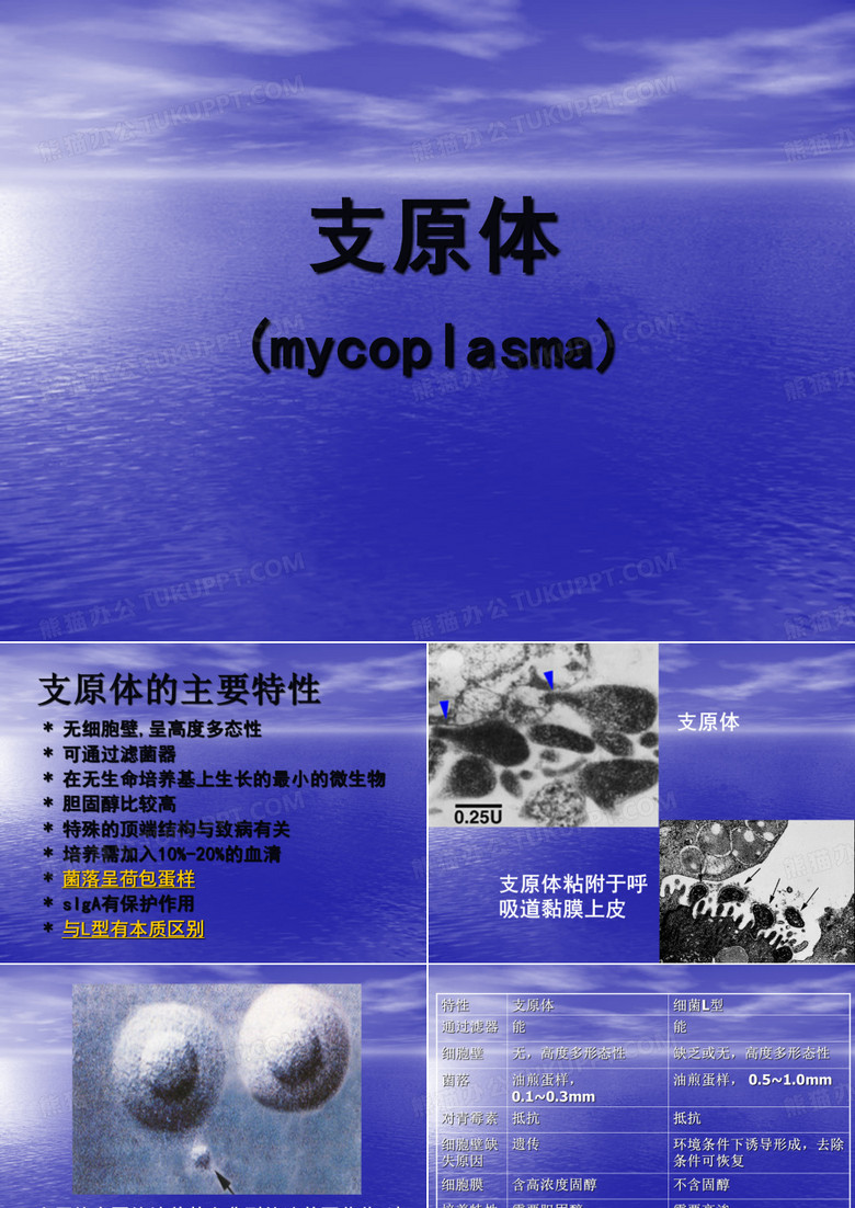 支原体特性