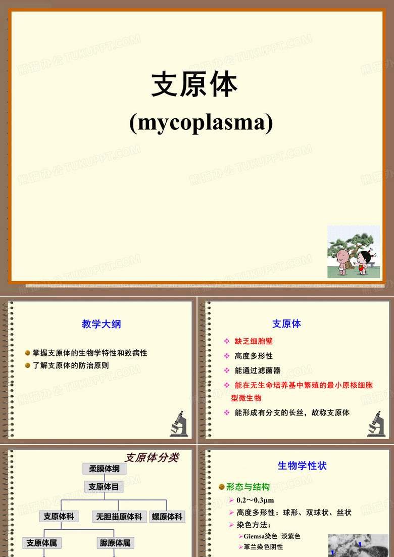 支原体与衣原体