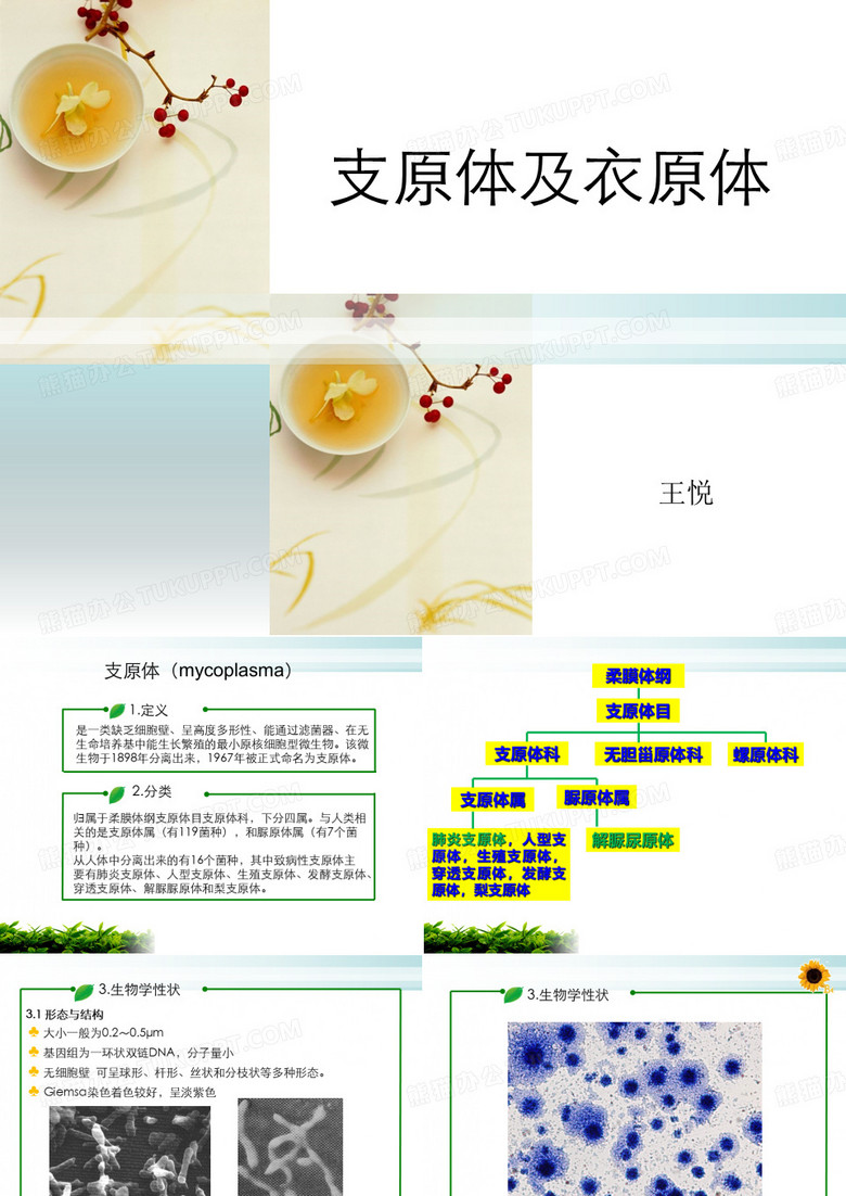 支原体及衣原体