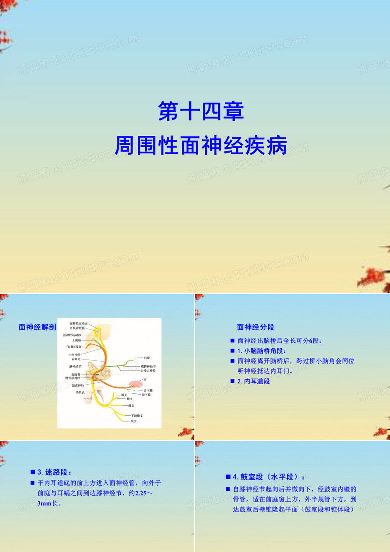 面神经疾病