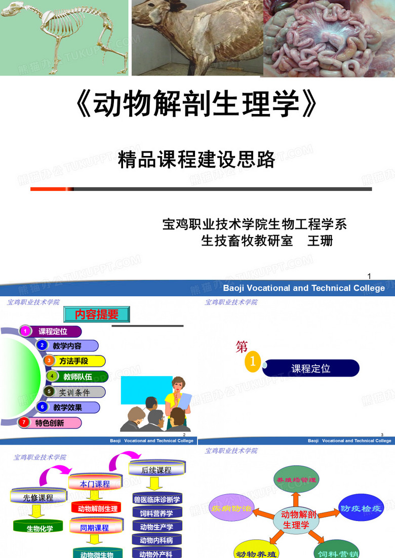 动物解剖生理学