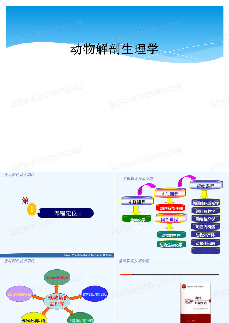 动物解剖生理学