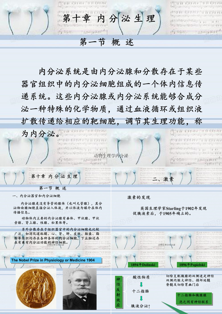动物生理学内分泌
