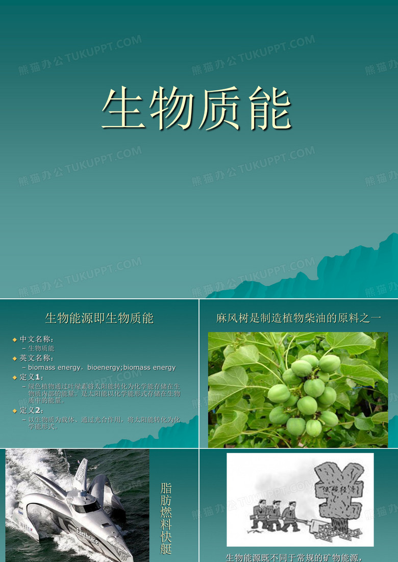 生物质能课件