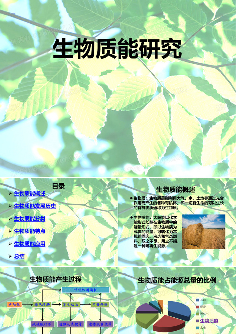 生物质能报告