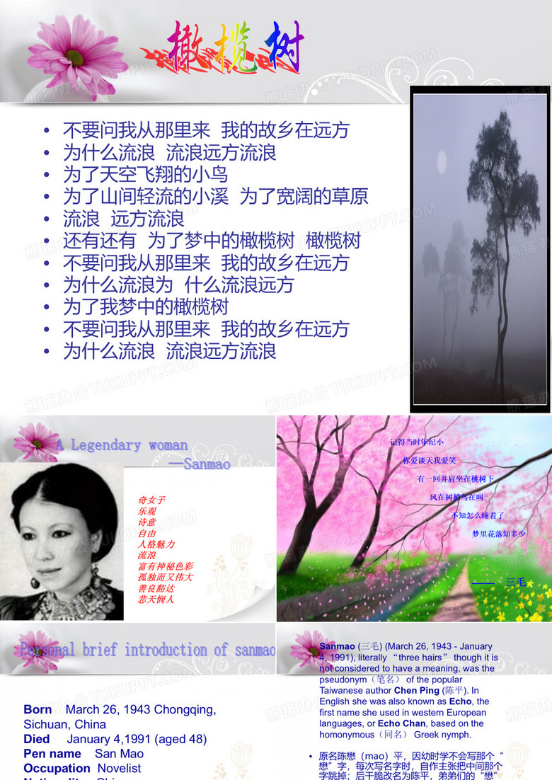 三毛的英文介绍ppt