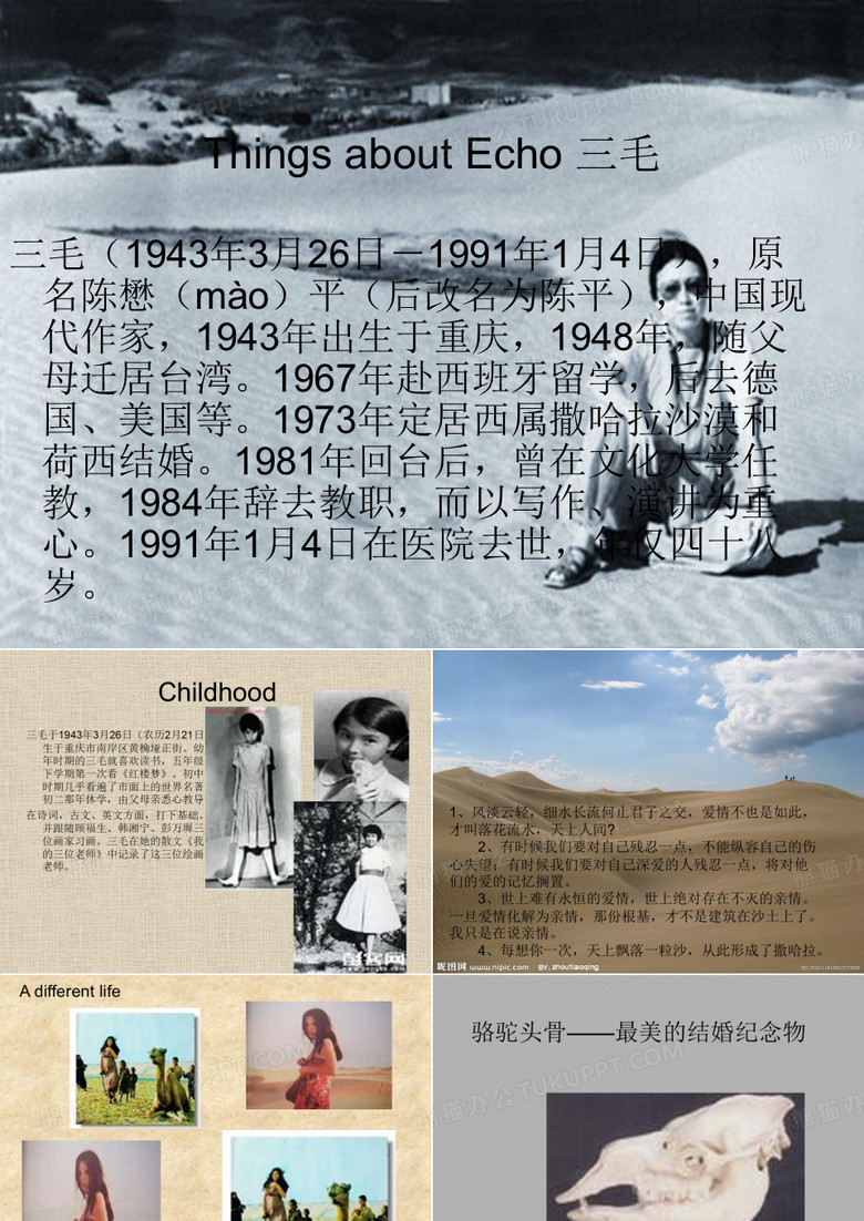 介绍三毛生平的PPT
