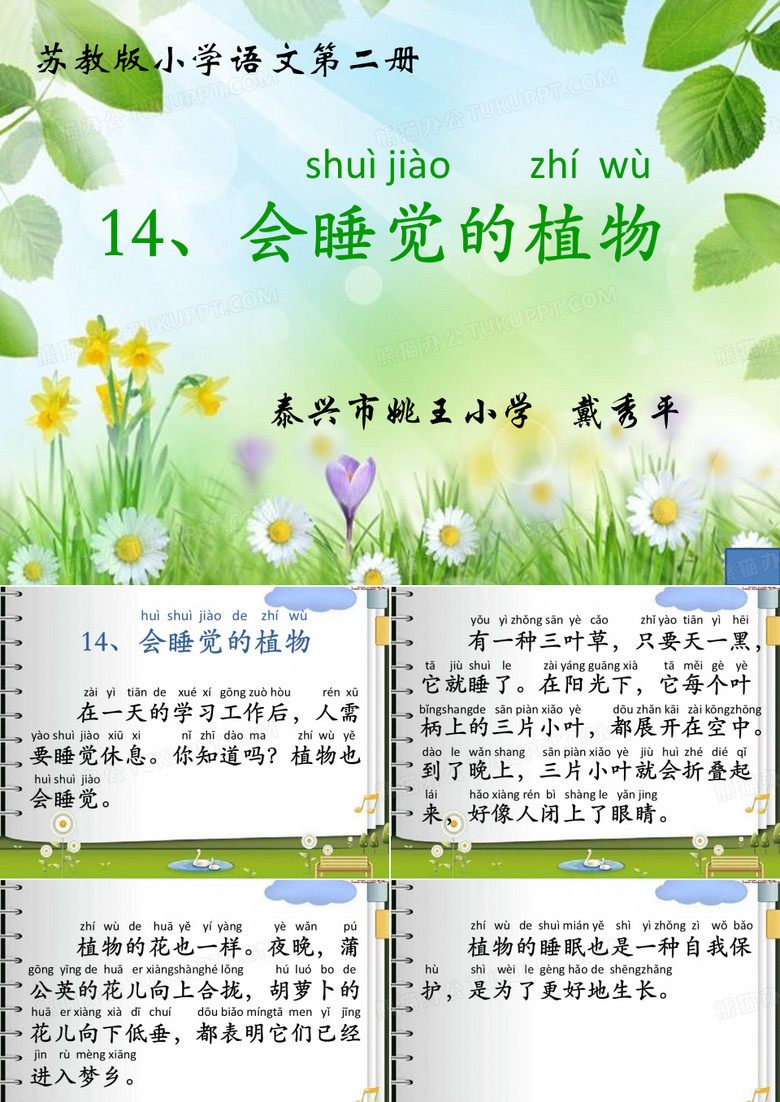 一下《会睡觉的植物》ppt课件完美版