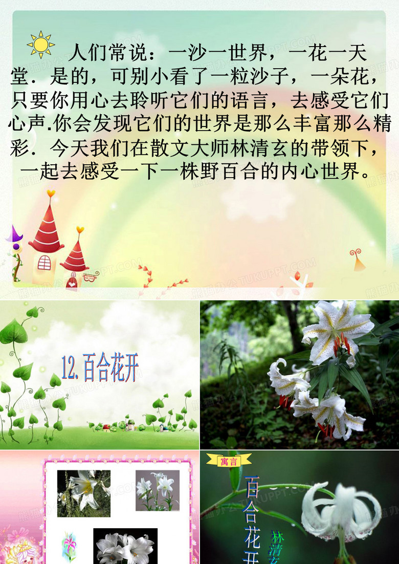 百合花开
