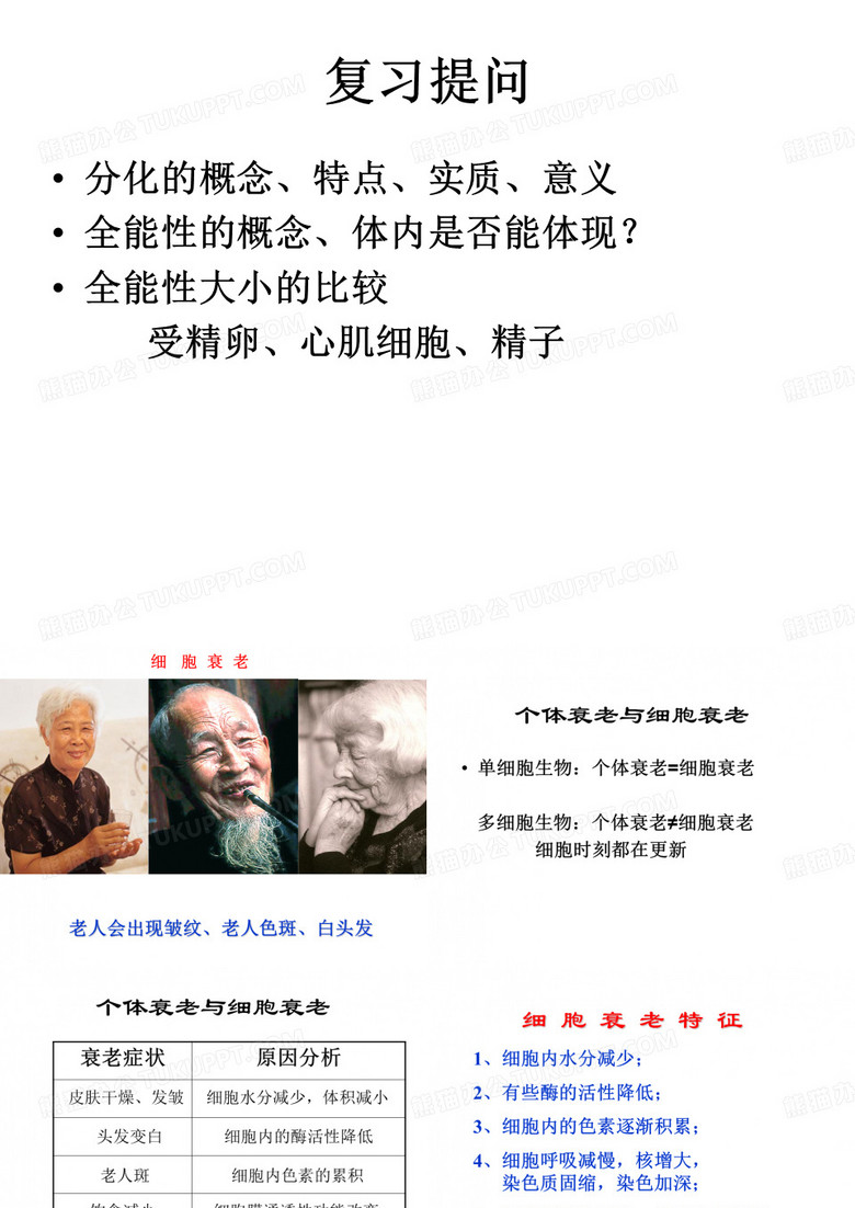 细胞衰老凋亡