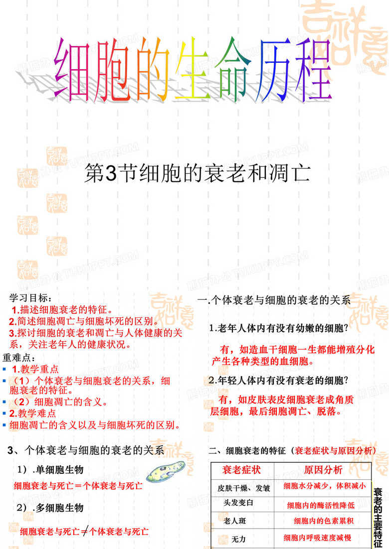 细胞的衰老与凋亡