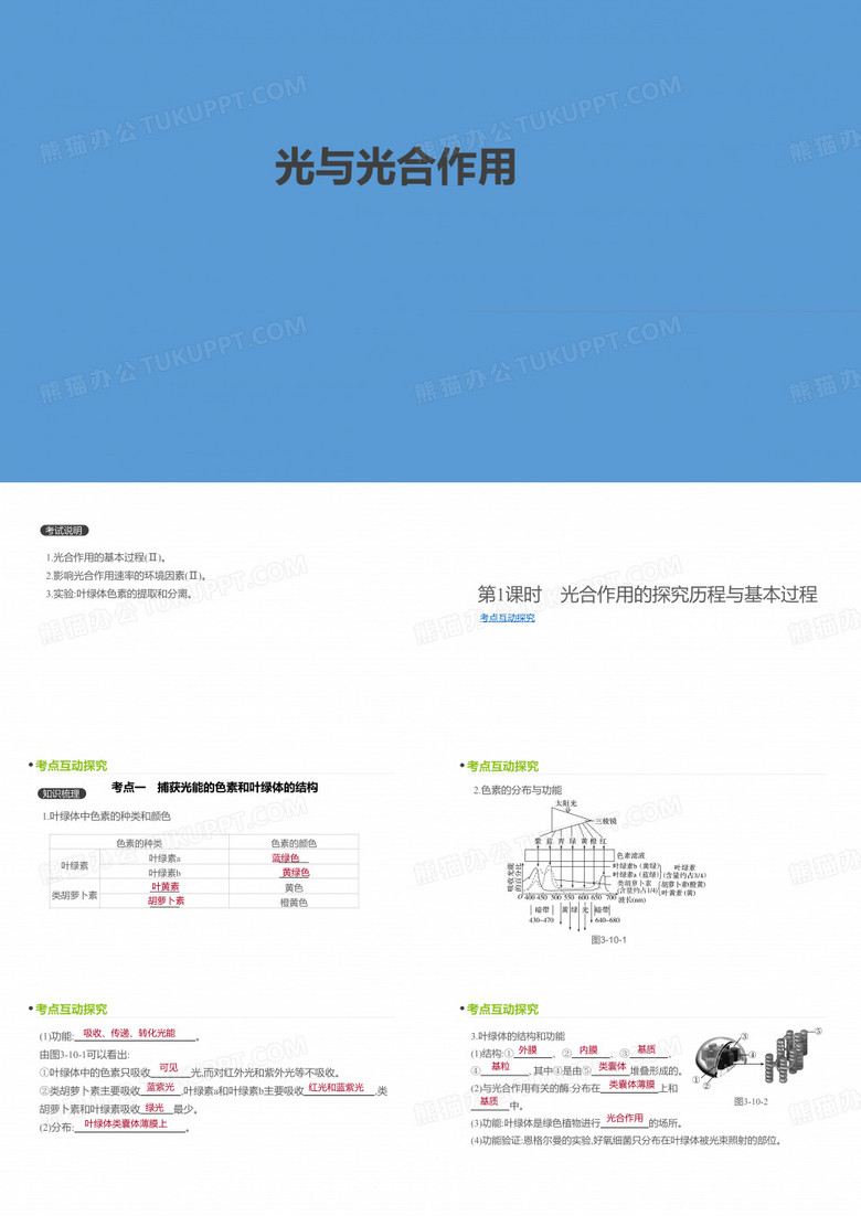 光与光合作用PPT课件