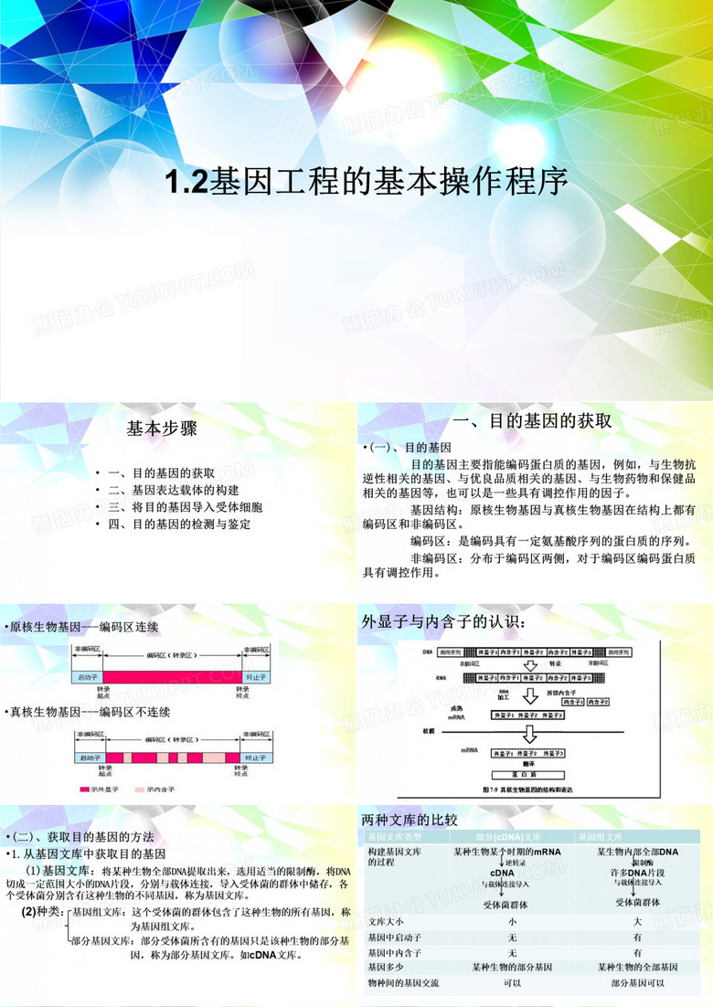 基因工程的基本操作程序