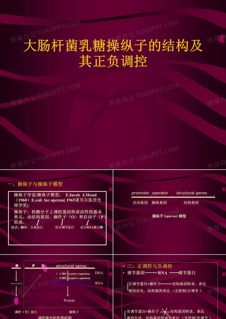 乳糖操纵子