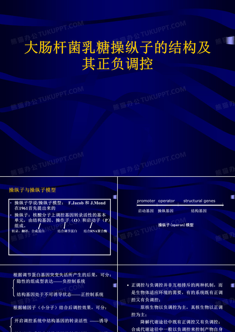 乳糖操纵子