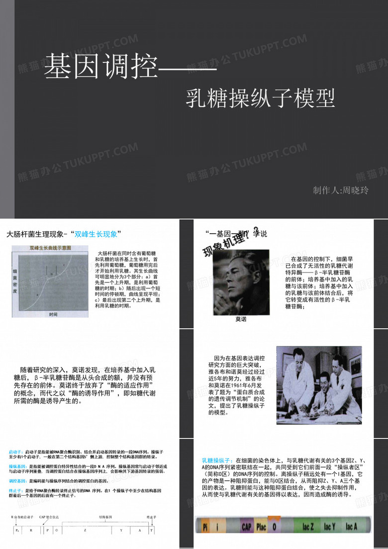 乳糖操纵子的模型