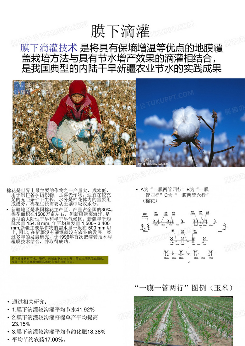 膜下滴灌