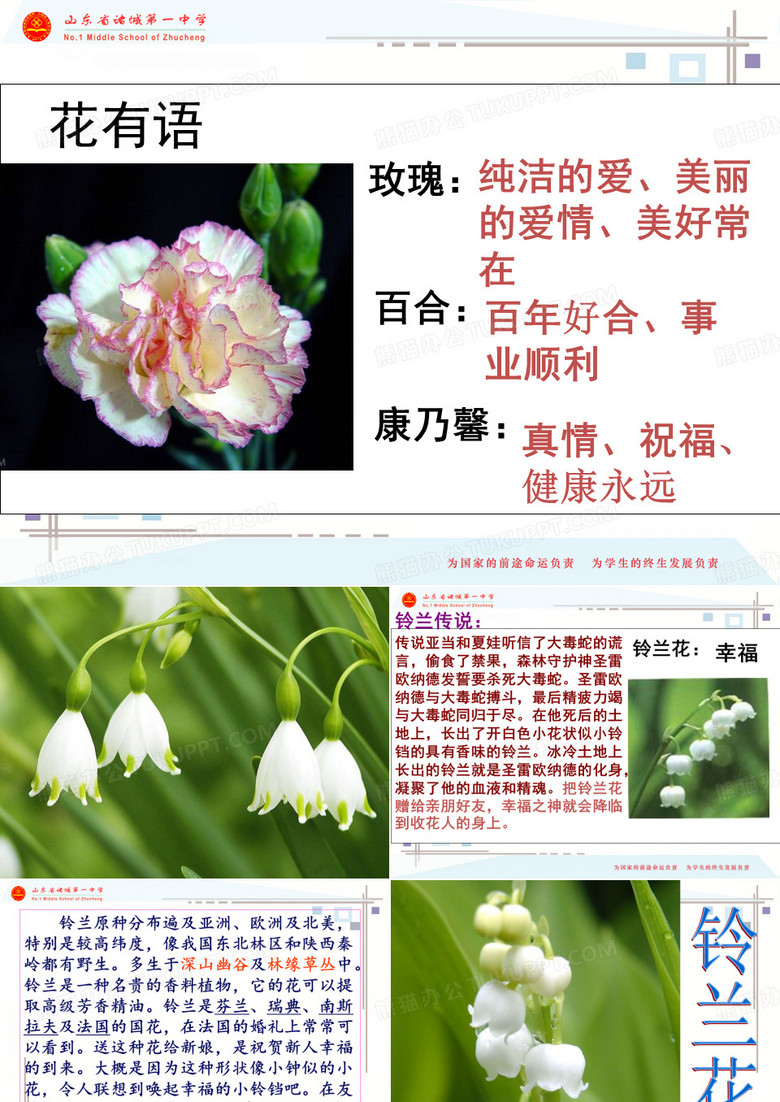 2020最新铃兰花PPT19 苏教版[优质实用版课件]