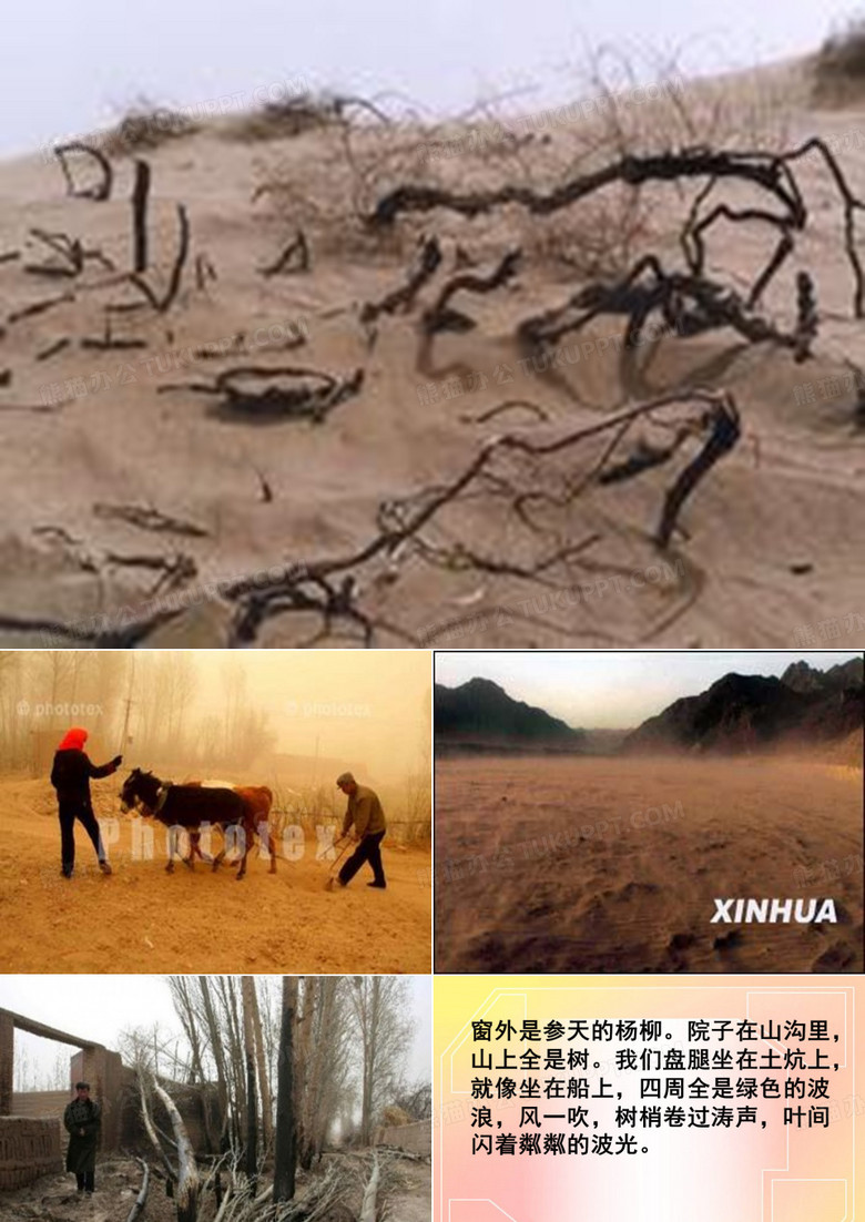 青山不老