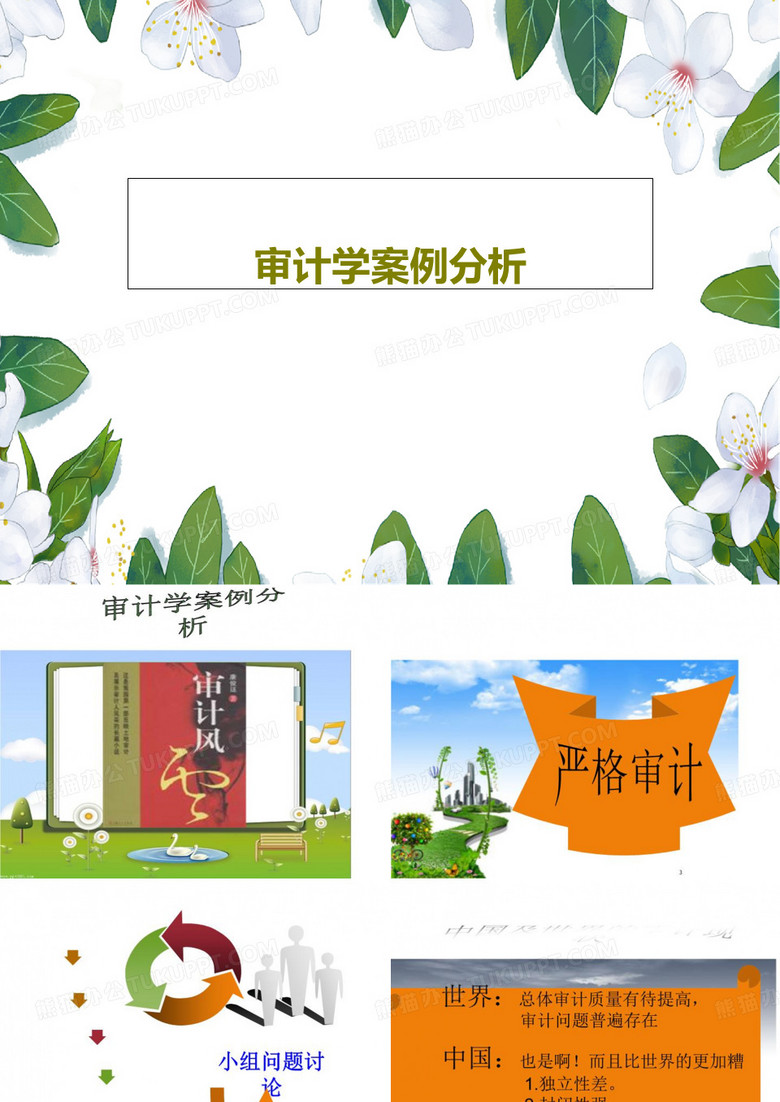 审计学案例分析共30页文档